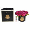 Côte Noire Parfémované Ruže - Carmine Red Côte Noire Parfémované Ruže - Carmine Red