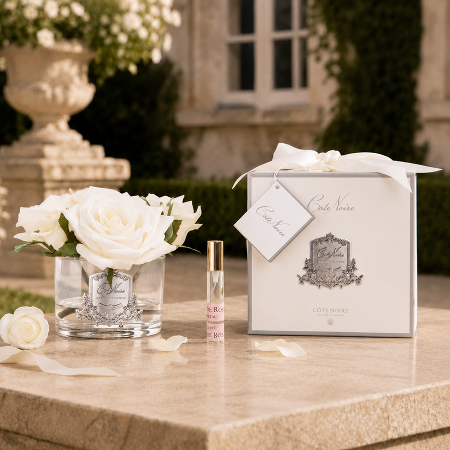 Côte Noire Parfémované Ruže - Ivory White - 5 Roses