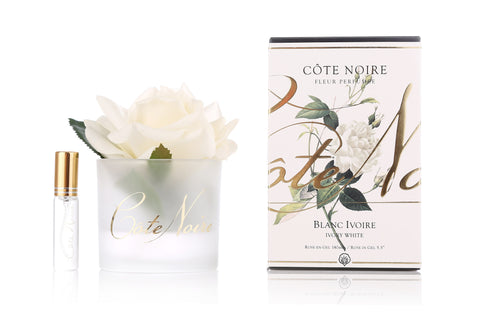Côte Noire Parfémovaná Ruža - Ivory White